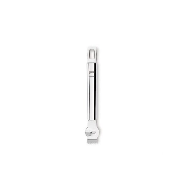 Giannini - Decorar Limoni 17.5 cm - Factotum