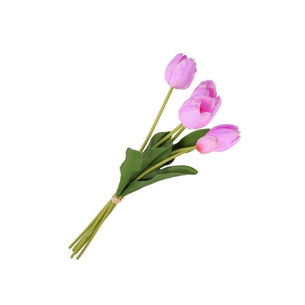 Rituales domésticos - Tulips Fuchsia Stem - Anna Deck