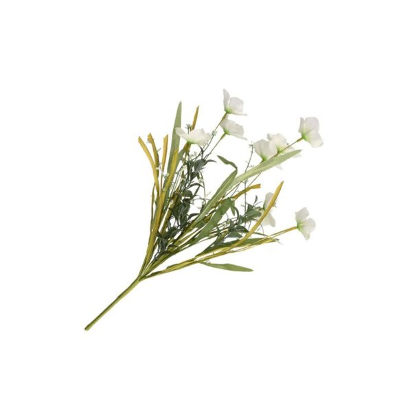 Thun - Cosmea Bianca