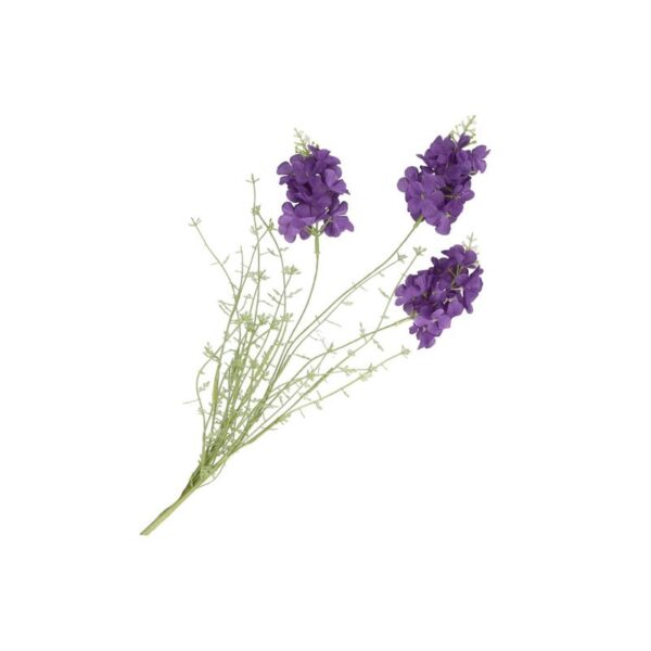 Thun - Violaciocca Viola