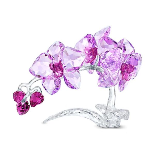 Swarovski - Orchidea - Crystal Flowers