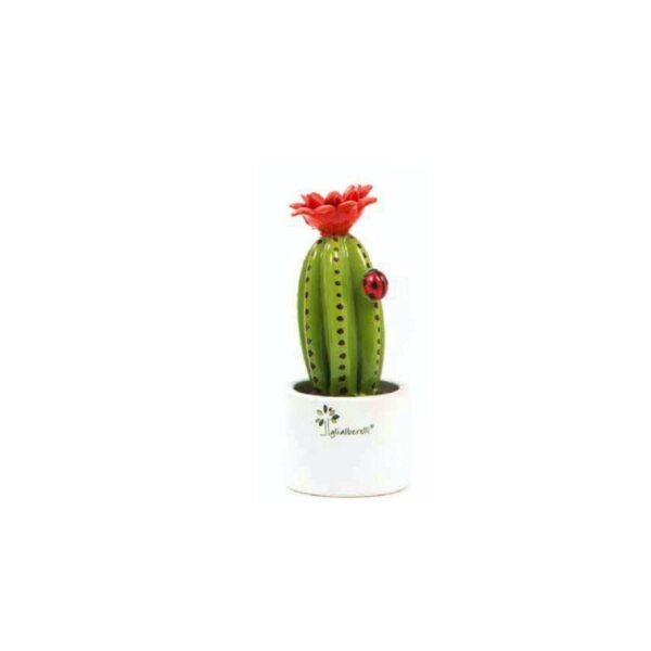 Gli Alberelli - Piantina grassa Cactus Mignon